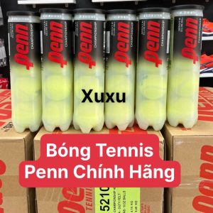 Banh Tennis Penn Championship Extra Duty – Banh Penn 4